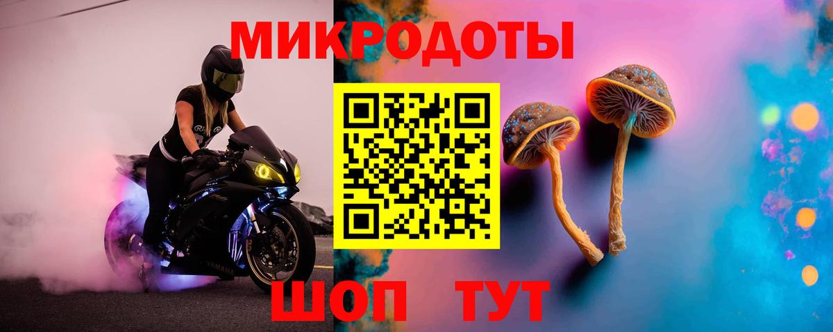 Галлюциногенные грибы мухоморы Гурьевск
